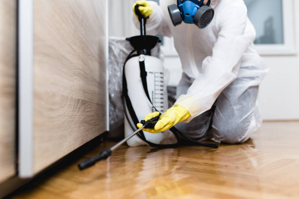 Pest Prevention Services in Milltown, NJ