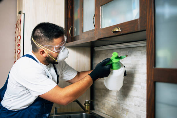Best Exterminator Services  in Milltown, NJ