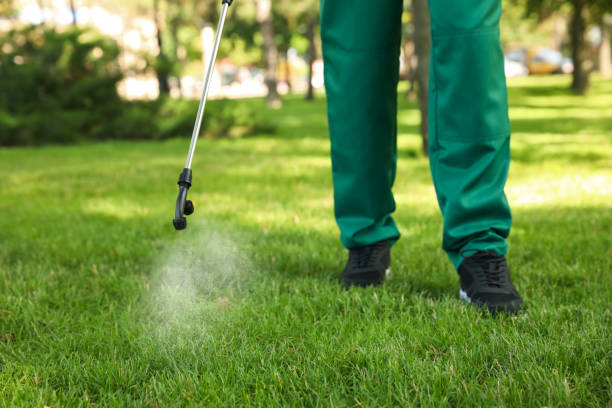 Best Mosquito Control Services  in Milltown, NJ