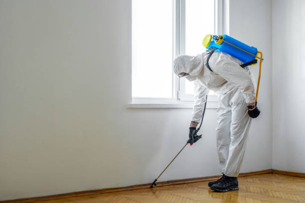 Best Affordable Pest Control Services  in Milltown, NJ