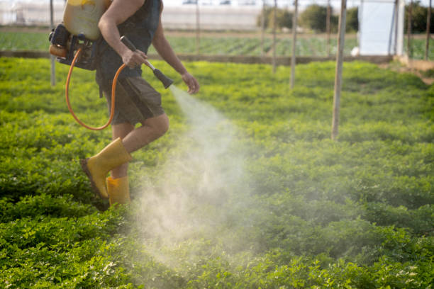 Best Ant Control Services  in Milltown, NJ