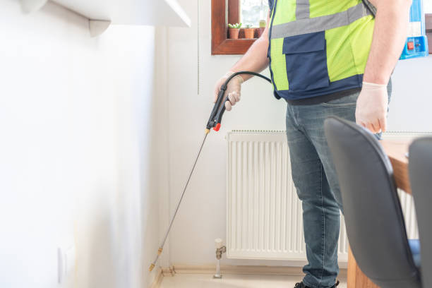 Best Flea Control Services  in Milltown, NJ