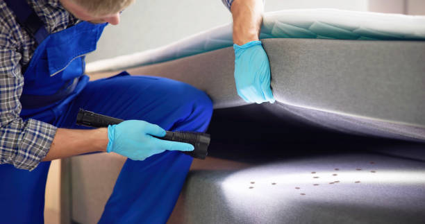 Best Cockroach Control Services  in Milltown, NJ