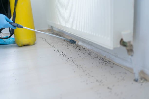 Best Pest Control Near Me  in Milltown, NJ