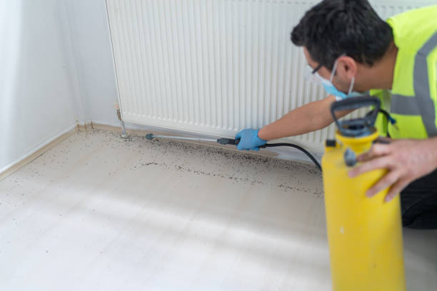 Best Best Pest Control Companies  in Milltown, NJ