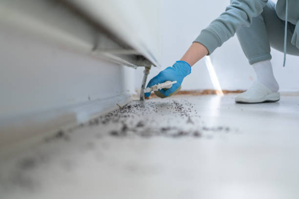 Bird Control in Milltown, NJ