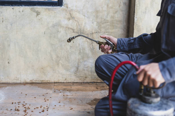Best Affordable Pest Control Services  in Milltown, NJ