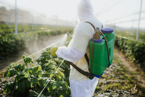Best Ant Control Services  in Milltown, NJ
